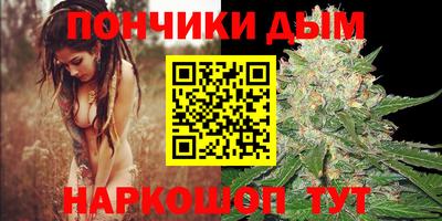 соль ск Можга
