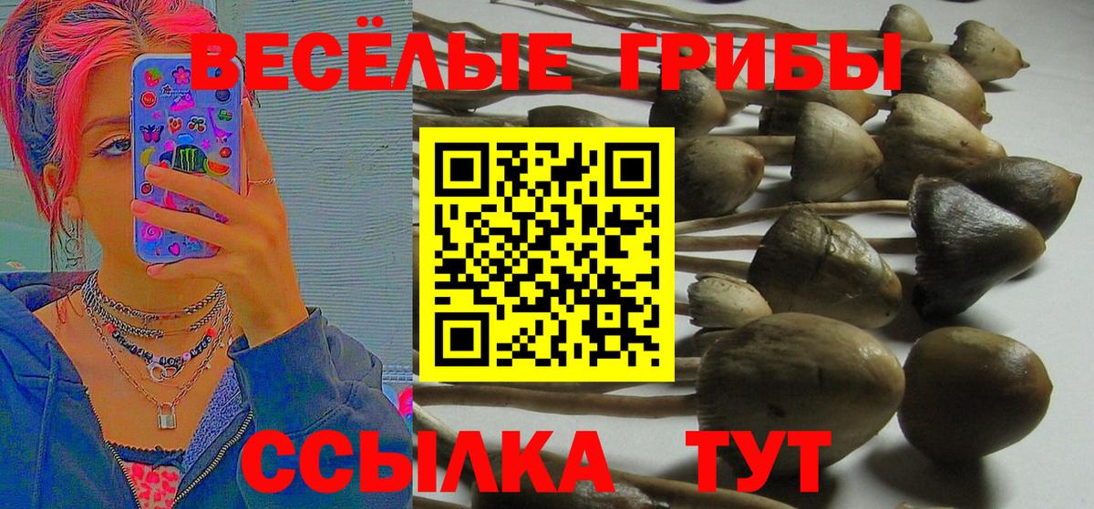 Каннабис  Вход с VPN  Меф МЯУ МЯУ кристаллы  Кокаин  Чусовой  ГАШ  ГАШ 