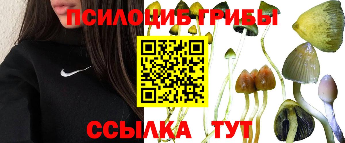 Псилоцибиновые грибы GOLDEN TEACHER Чусовой
