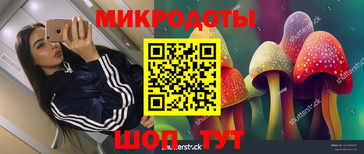 Чусовой  Галлюциногенные грибы прущие грибы  Вход с VPN  Галлюциногенные грибы Psilocybe 